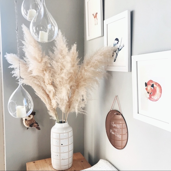 Accents Pampas Grass 6 Stems Trending Decor Poshmark